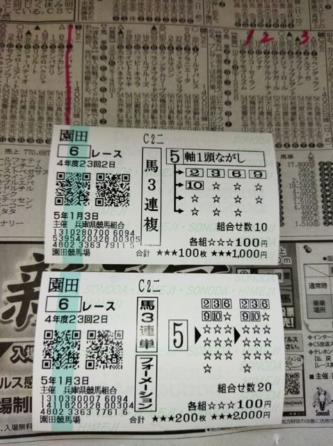 クァンタムリープ馬券.jpg