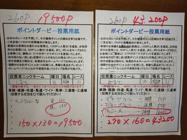 投票用紙 しると.jpg