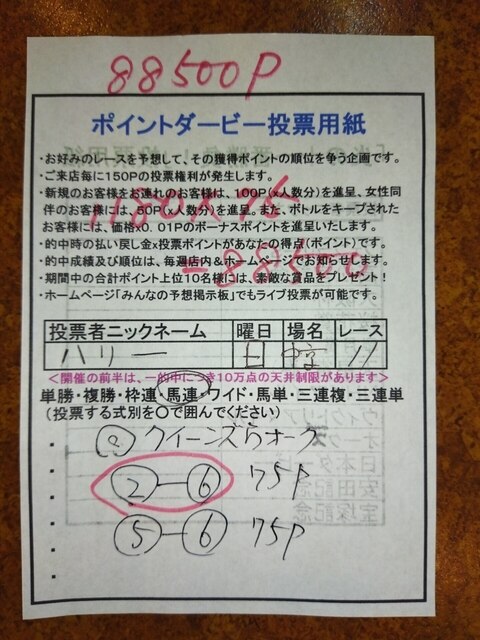 投票用紙 ハリー.jpg