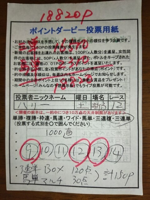 投票用紙 ハリー.jpg