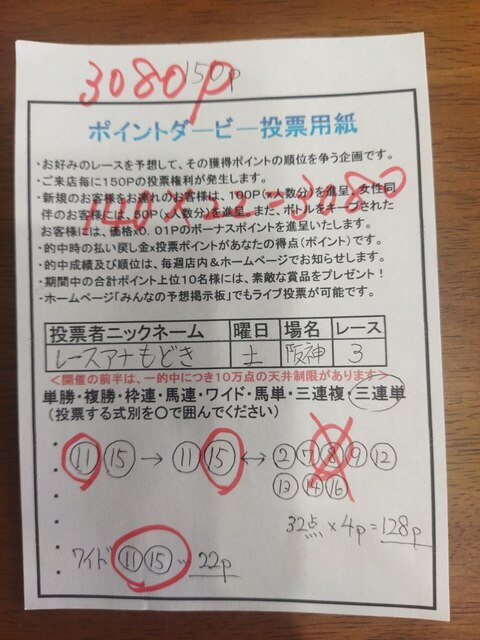 投票用紙 レースアナもどき.jpg