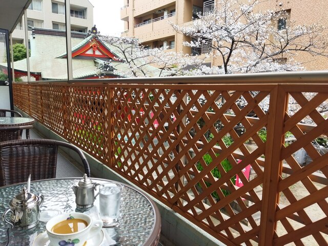 花見1.jpg
